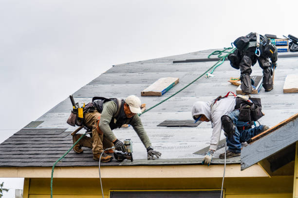 Professional Roofing technician working in Minot, ME